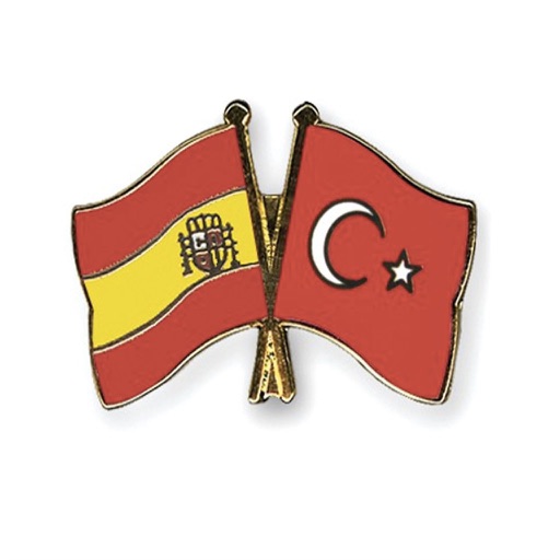 Spanish/Turkish Words Test