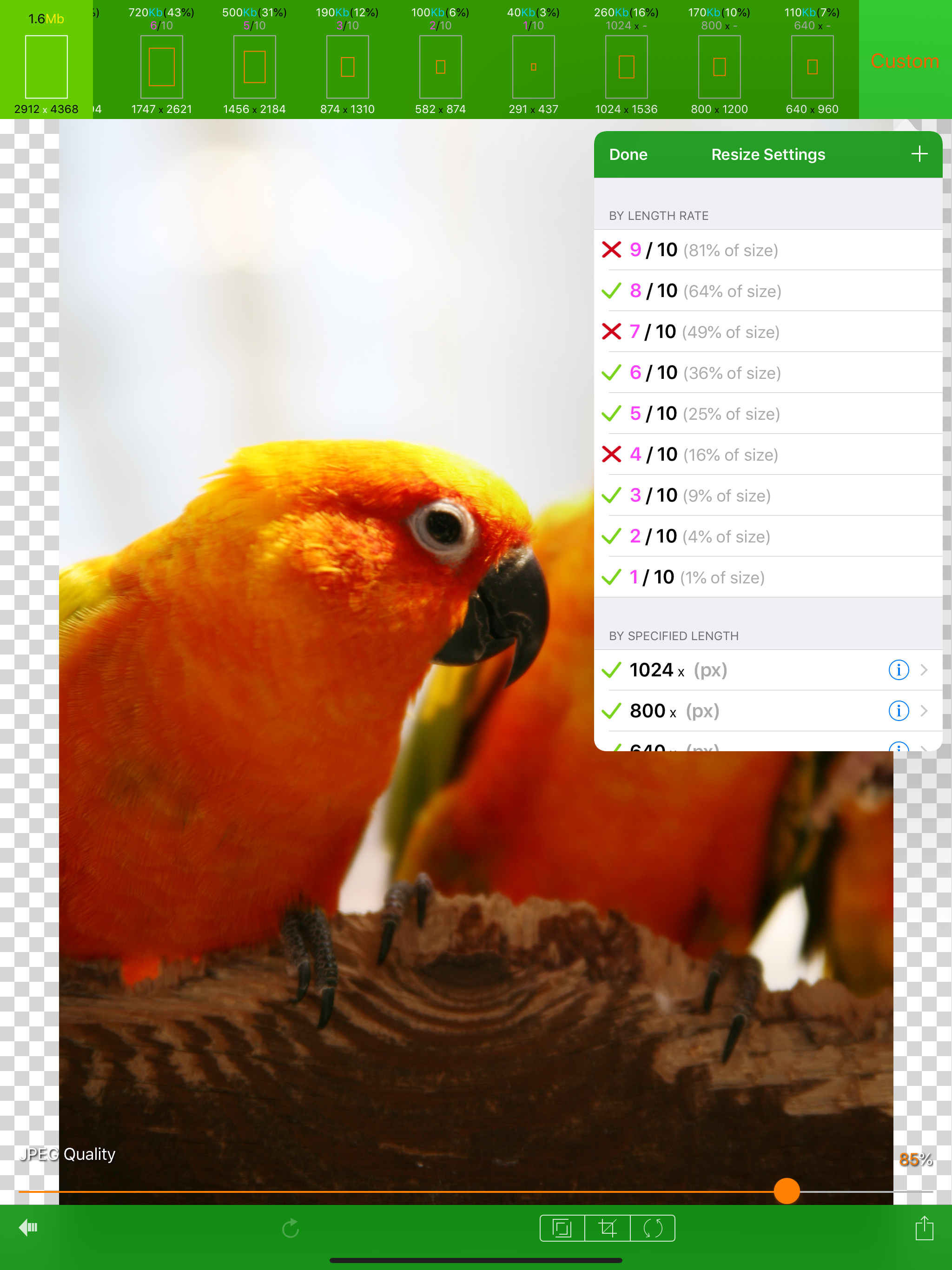 EverClipper Plus screenshot 4