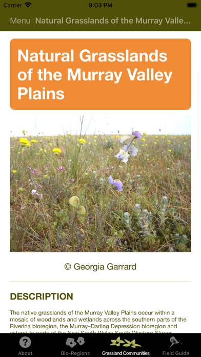 Screenshot #1 pour Grasslands