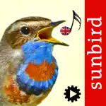 Bird Song Id UK App Positive Reviews
