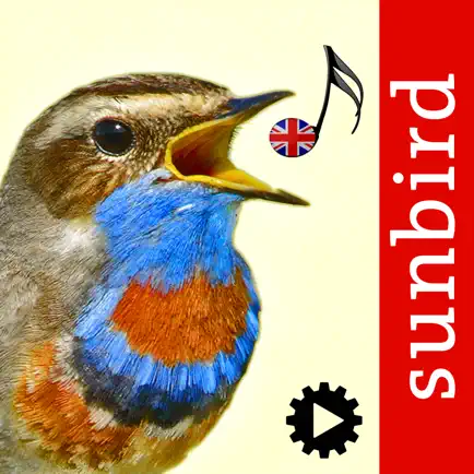 Bird Song Id UK Cheats