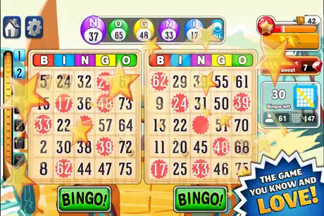 Bingo!™