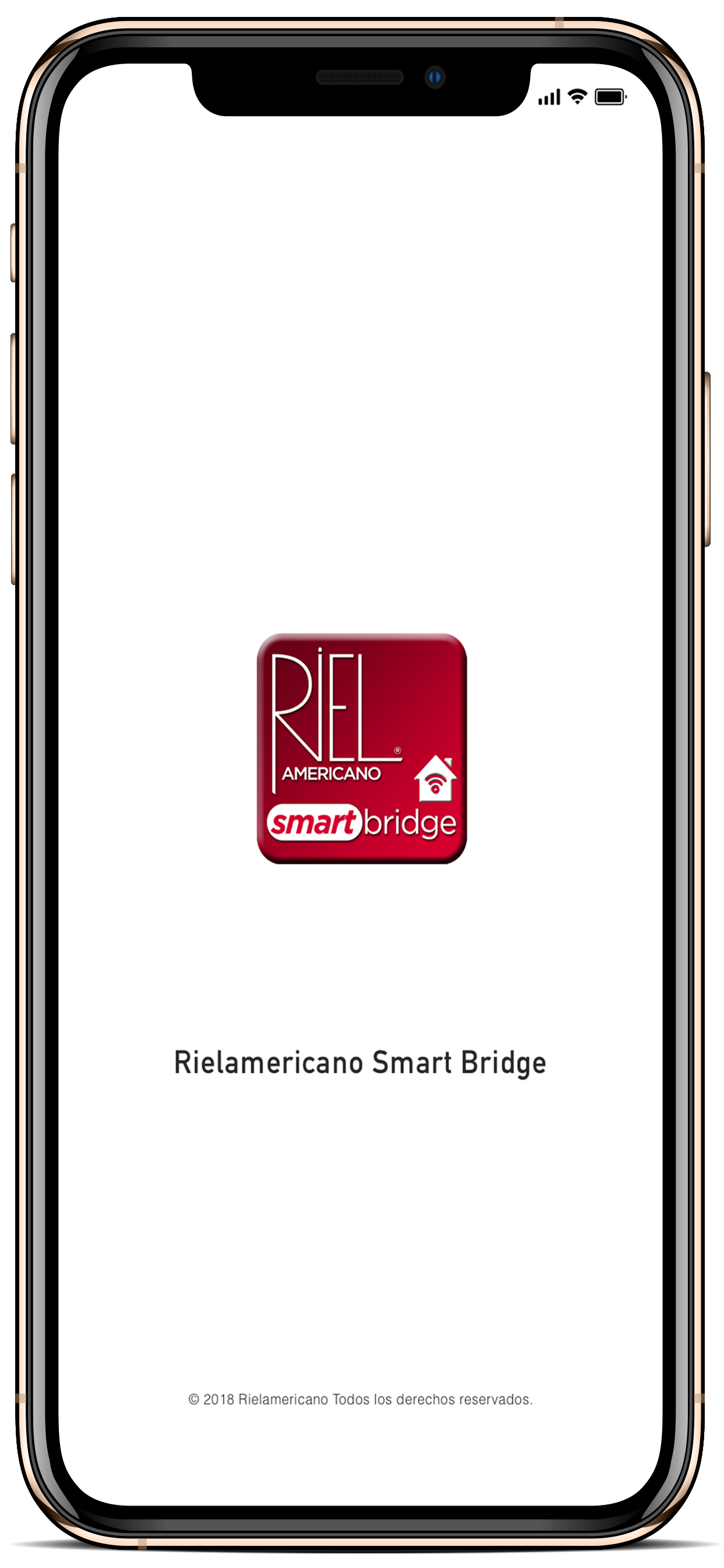 Rielamericano Smart Bridge
