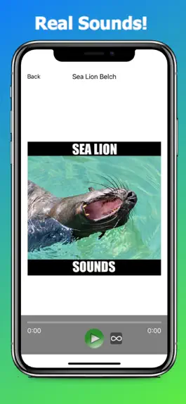 Game screenshot Sea Lion Sounds hack