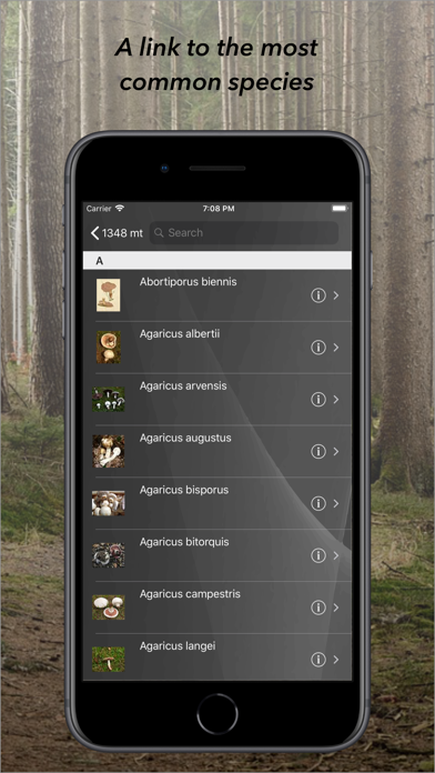 aFunghi Screenshot
