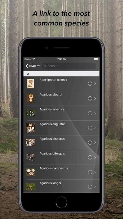 aFunghi screenshot-7