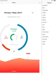Термо Гигрометр айпад изображения 4