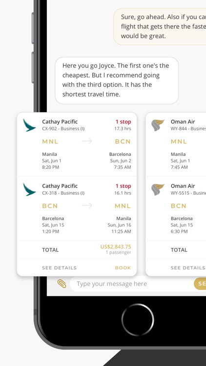 Viyahe Chat & Book Flights