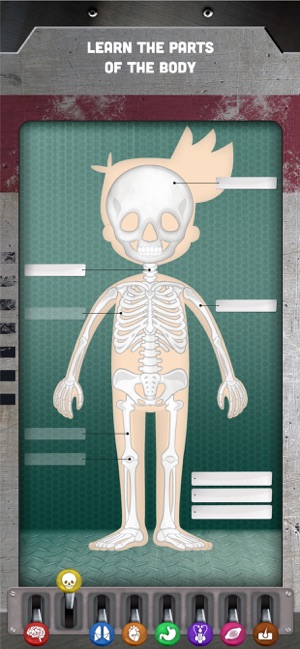 How does The Human Body Work?(圖4)-速報App