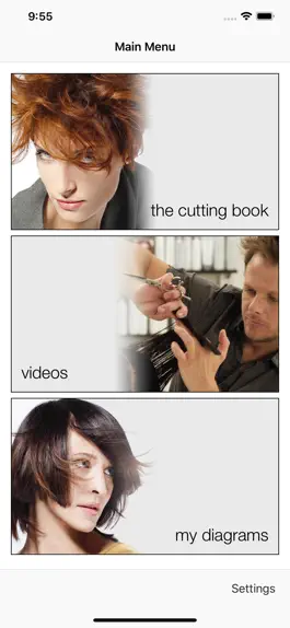 Game screenshot The Cutting System mod apk