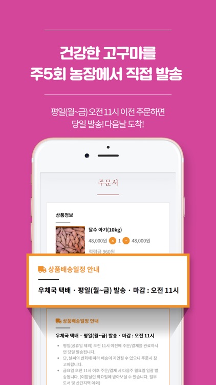 행복한고구마