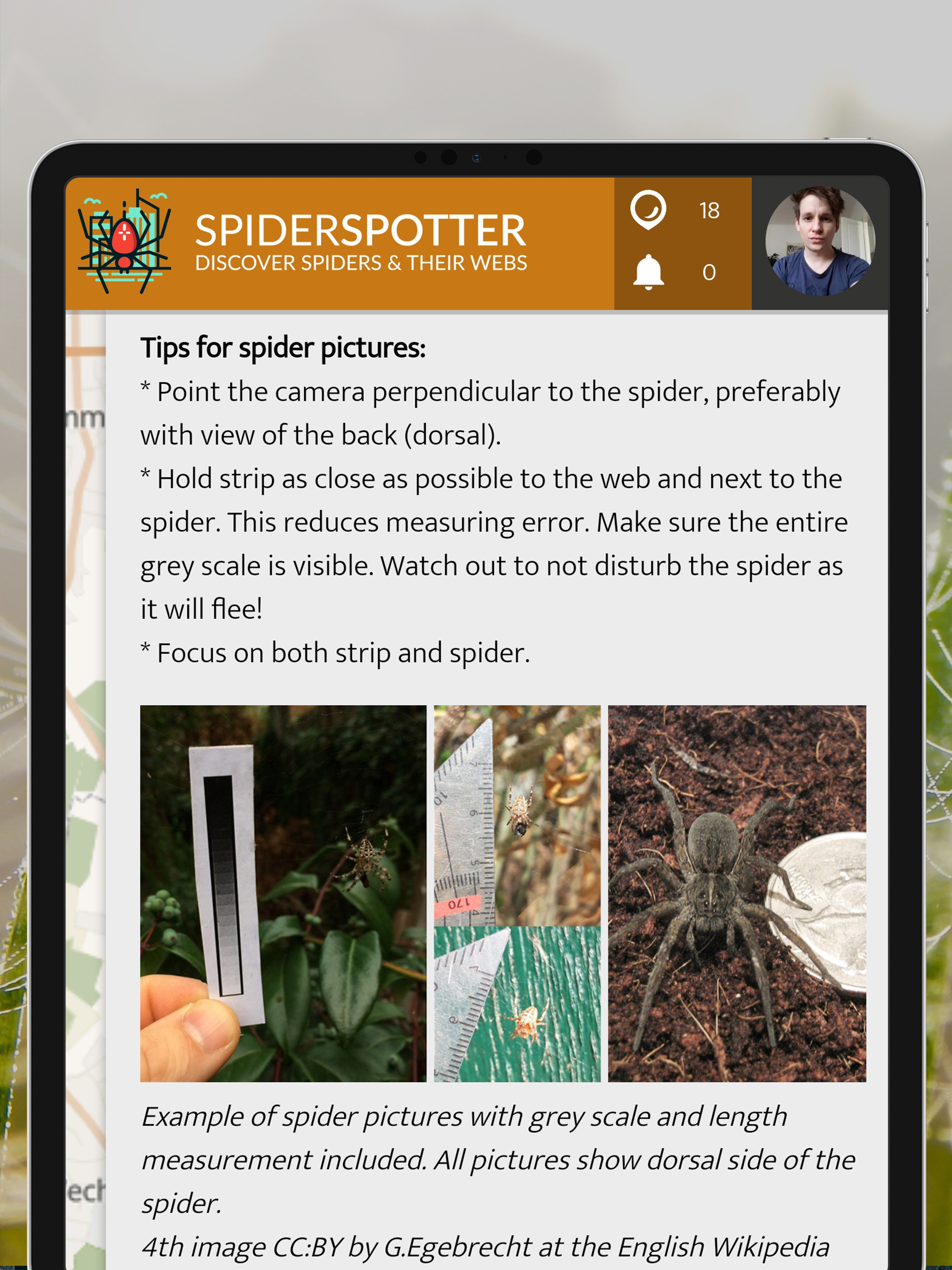 SpiderSpotter | SPOTTERON