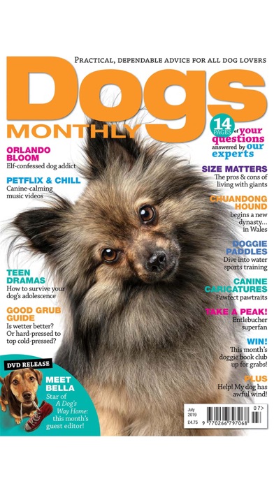 dogs monthly