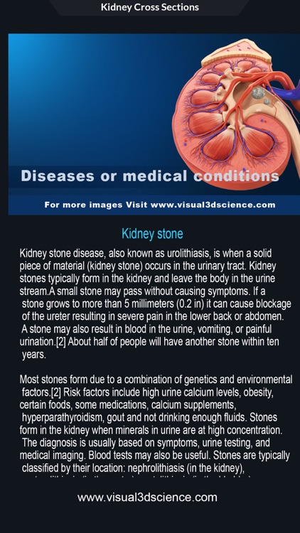 My Kidney Anatomy screenshot-7