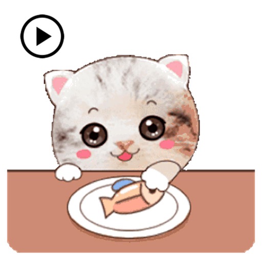 Animated So Cute Kitty Sticker