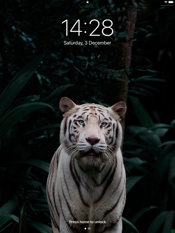 Wallpapers 4K 3D - Vision