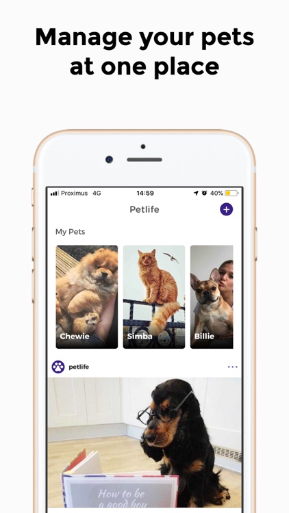PetLife - Find my pet