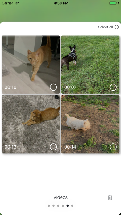 PicDot iPhone screenshot 5 - Photo & Video app
