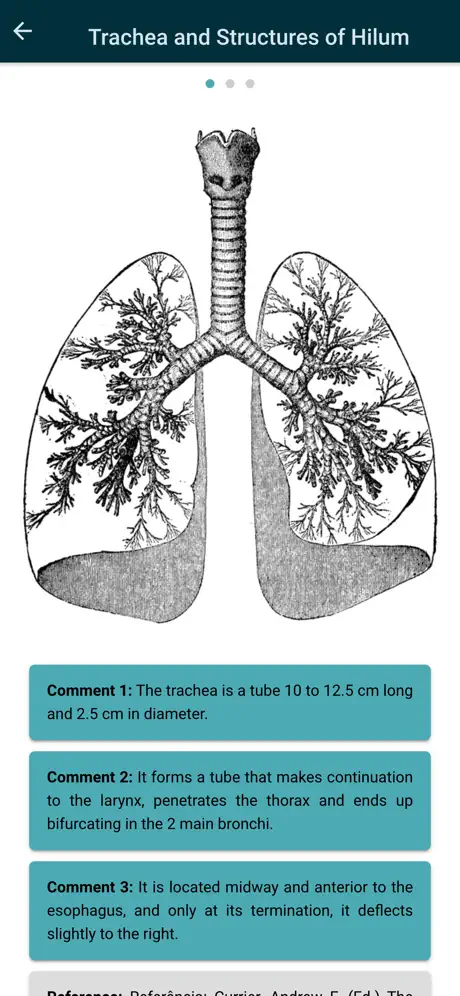 Thorax - thoracic radiology