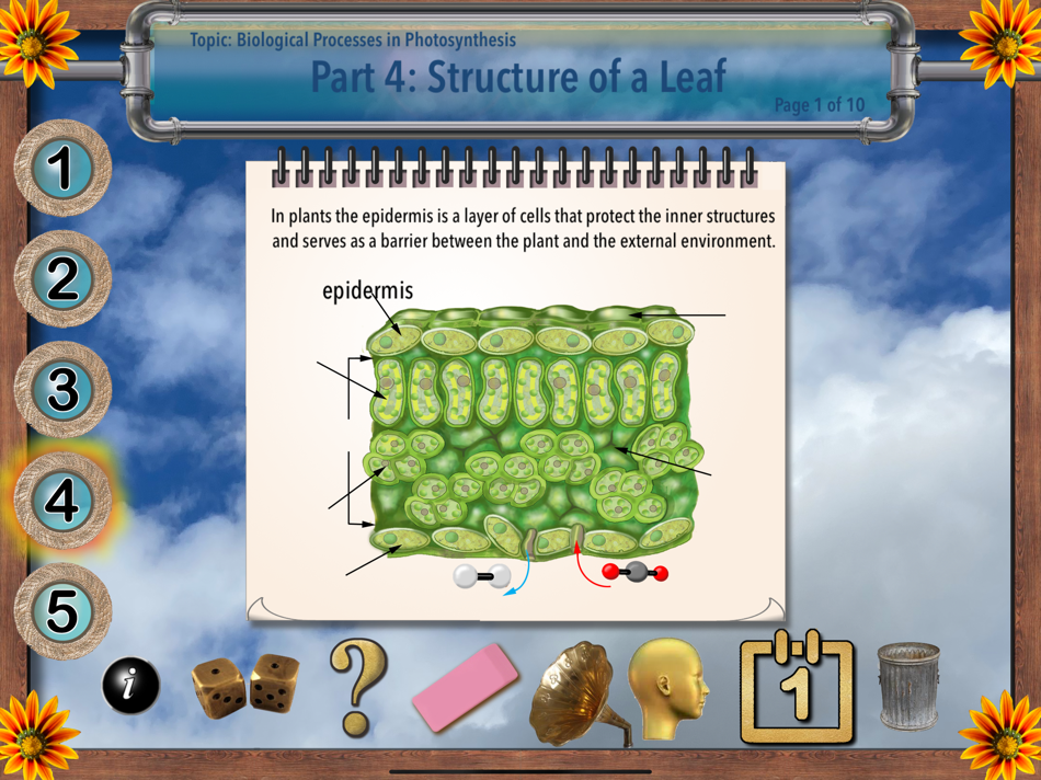 #5. Interactive Photosynthesis (iOS) 由: Ventura Educational Systems
