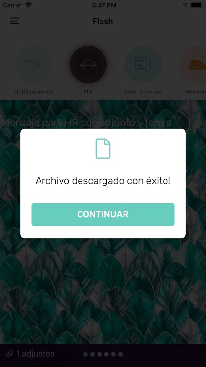 Flash App screenshot-8