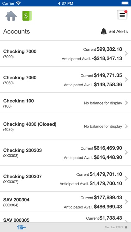 FNB Cash Management screenshot-3