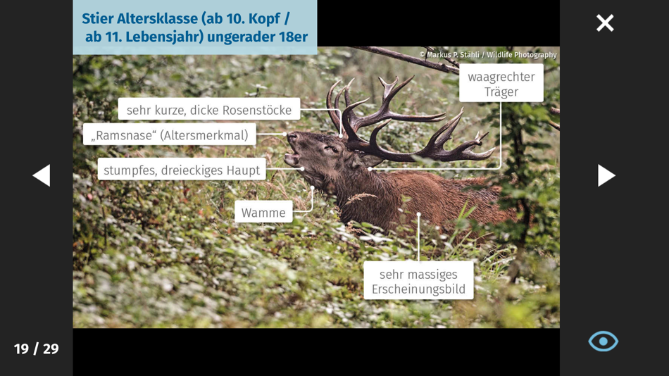 #4. Jagd-Lern App (iOS) 由: Sichtwerk AG