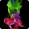 ライブ壁紙 - ThemeRio - iPhoneアプリ