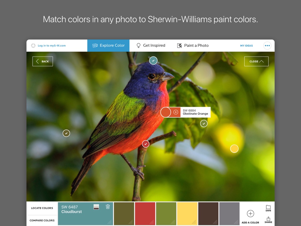 【图】ColorSnap® Visualizer for iPad(截图3)