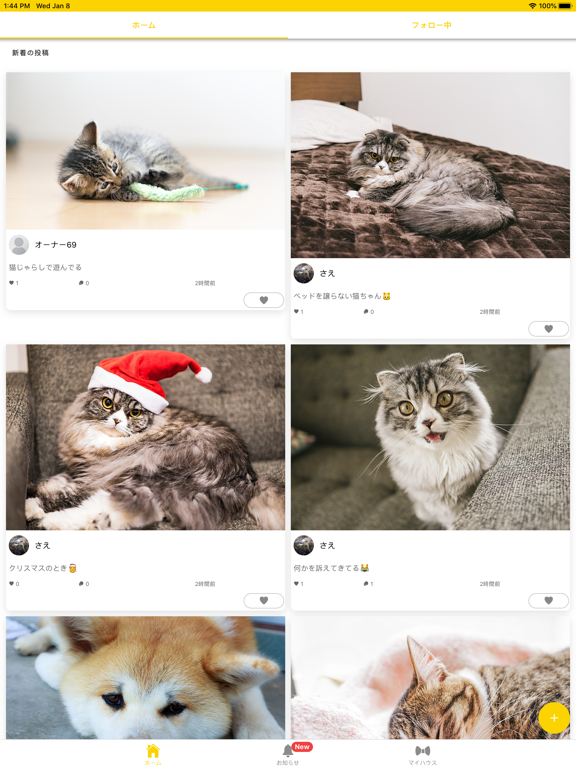 ペットじまん iPad screenshot 1 - Social Networking app