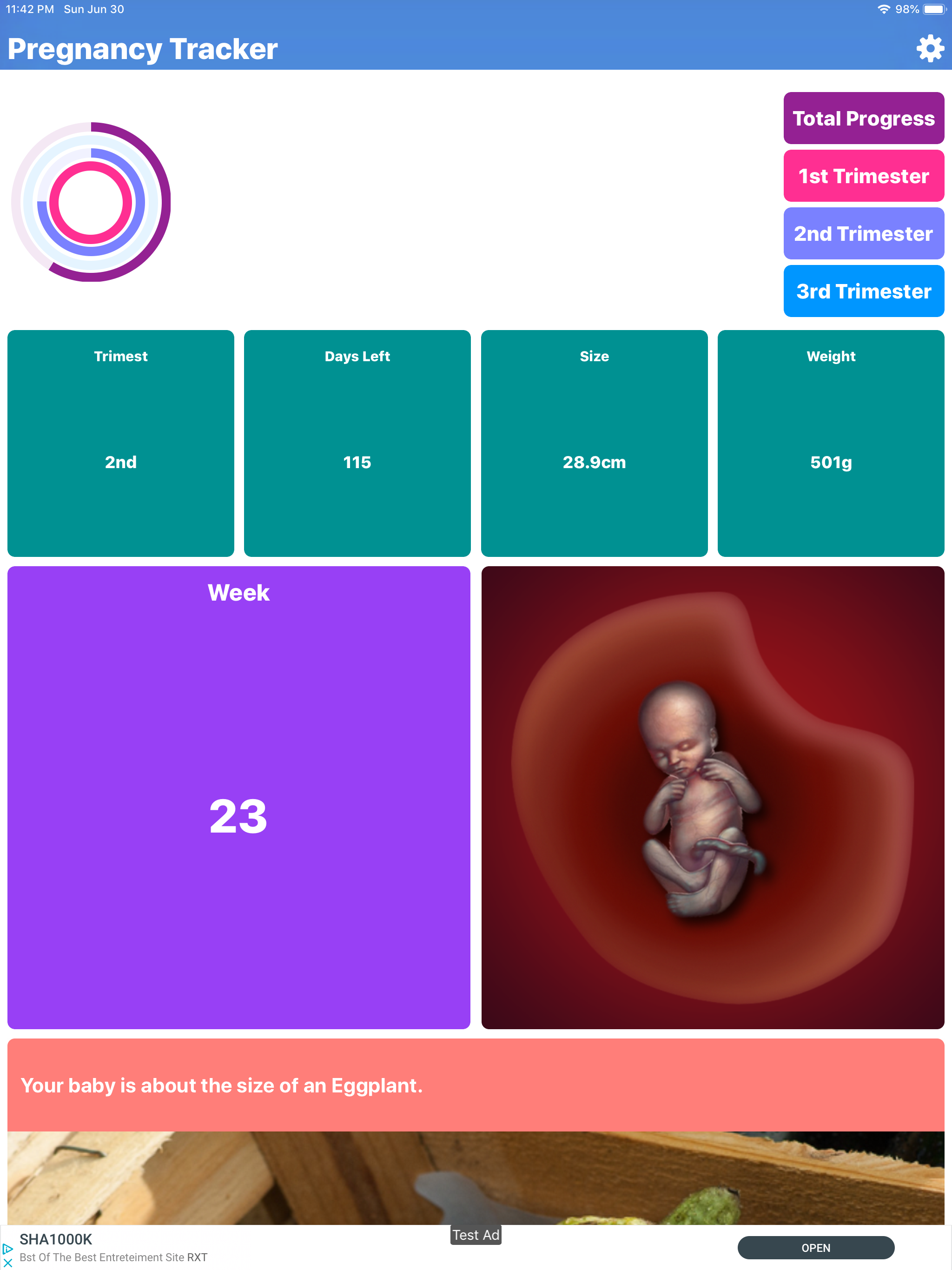 Pregnancy Tracker Your Journey