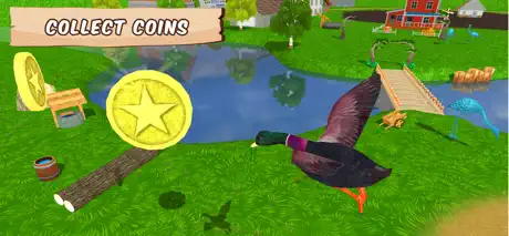 My Flying Duck