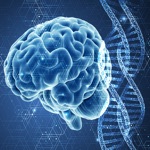 Medicine  Neurology Quiz