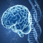 Learn Neurology app download