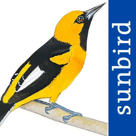 All Birds Ecuador field guide Cheats
