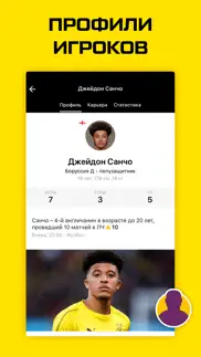 Боруссия Дортмунд от sports.ru айфон картинки 2