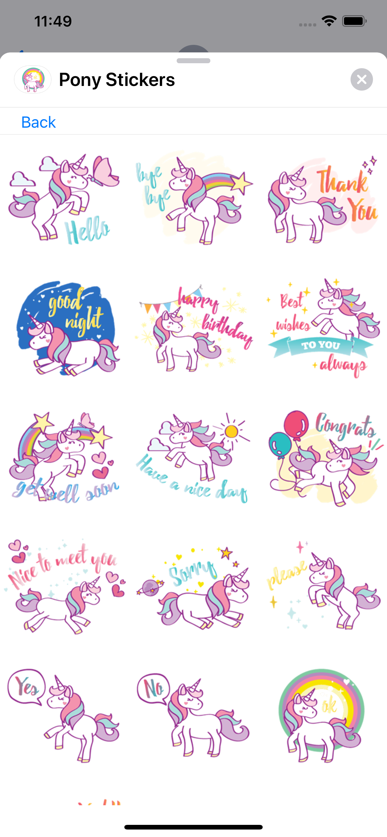 Pony + screenshot 2