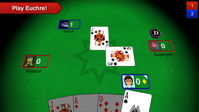 Euchre 3Dのおすすめ画像1