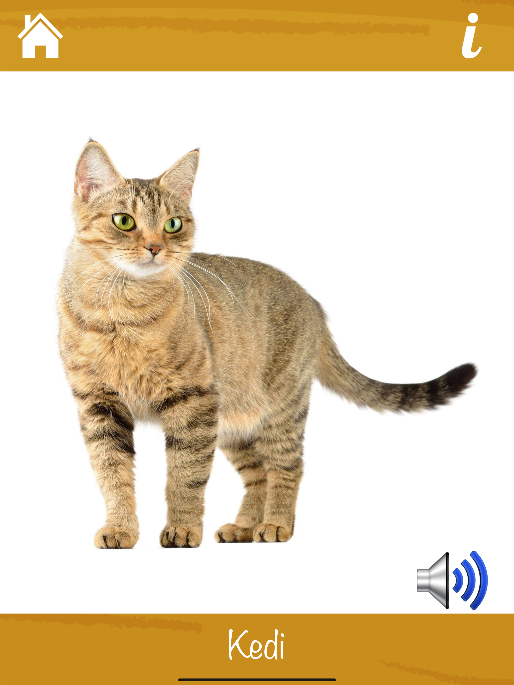 Learn Animals and Sounds screenshot 6