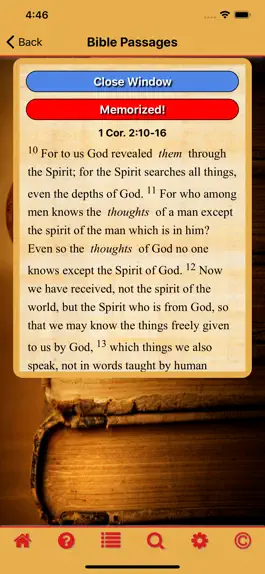 Game screenshot Ryrie Theology Central Passage apk