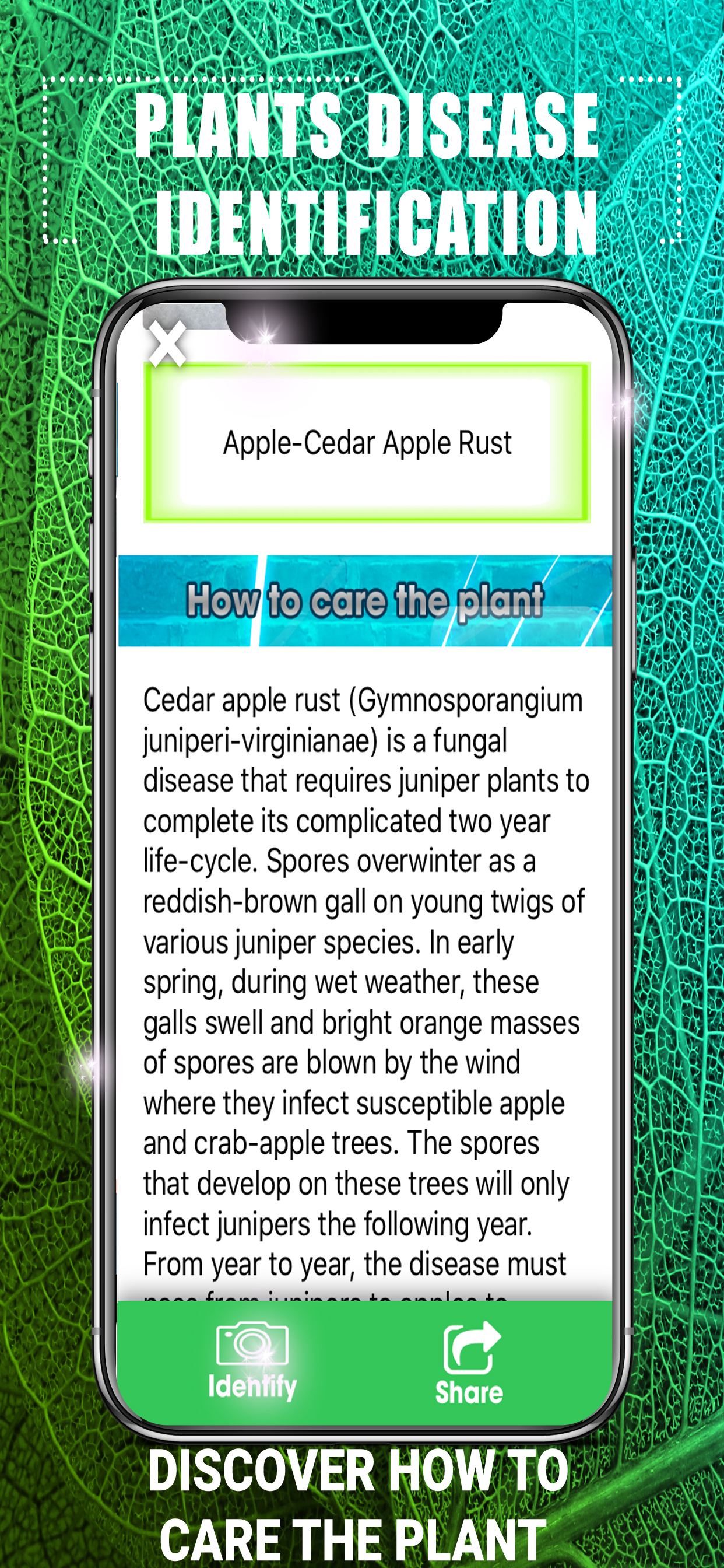 Plants Disease Identification