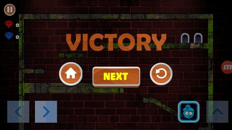 Red Boy And Blue Girl 2 screenshot-4