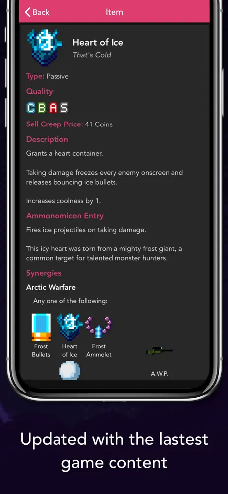 Guide for Enter the Gungeon