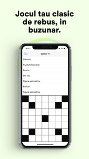 Rebus și Integrame: Careuri screenshot 1