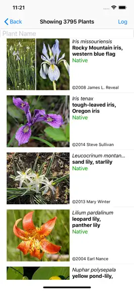 Game screenshot Oregon Wildflower Search apk