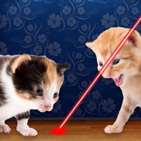 لقطات (8) Laser Pointer for Cat