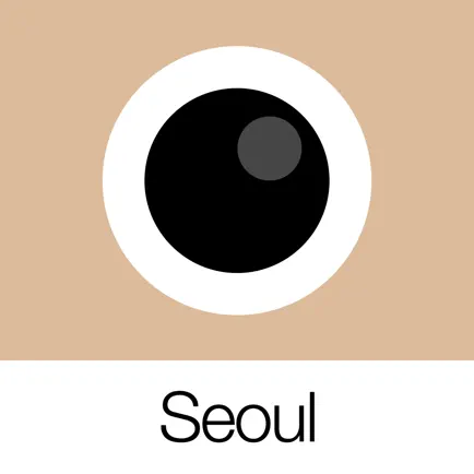 Analog Seoul Cheats