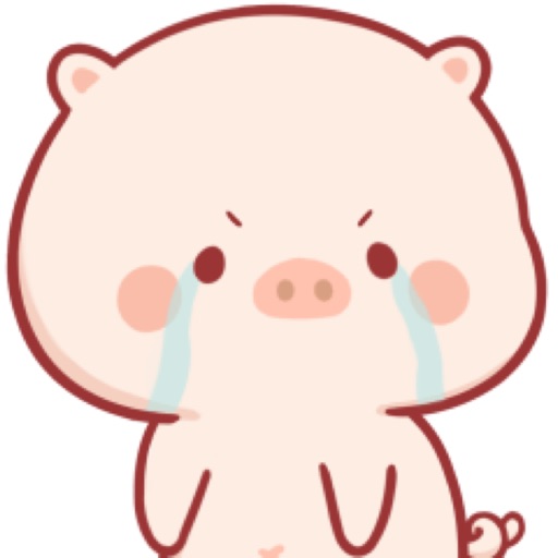 Chubbi Piggy