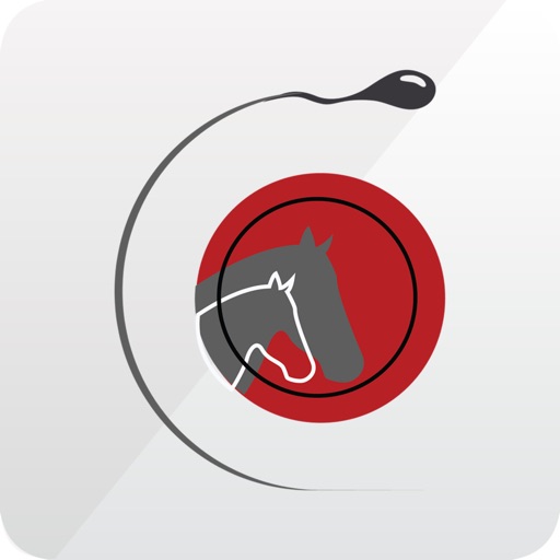 ProLife Reprodução Equina