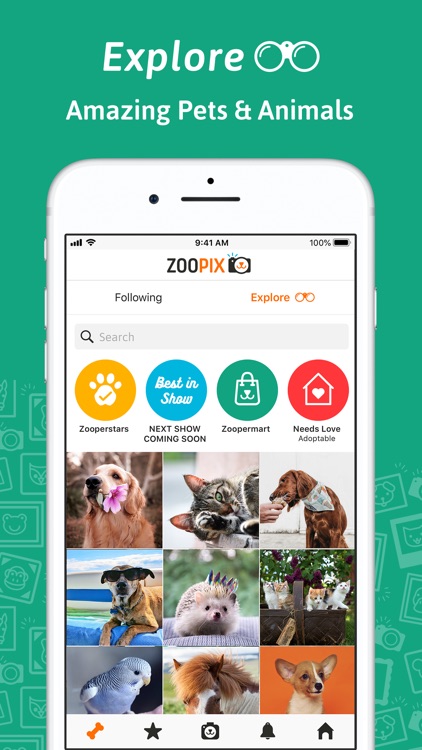 ZooPix screenshot-7